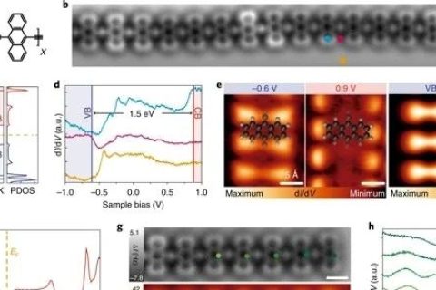 《Nature》子刊：準金屬相高分子！