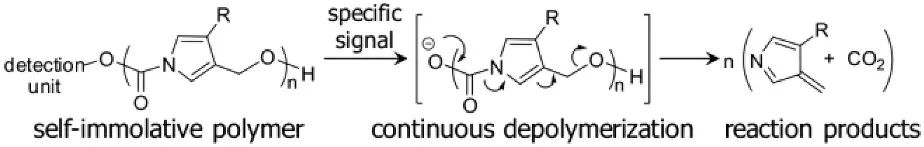 《JACS》： 像解拉鏈一樣輕松，聚合物30分鐘解聚為小分子