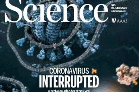 了不起！90后副教授在《science》上發(fā)表評述論文