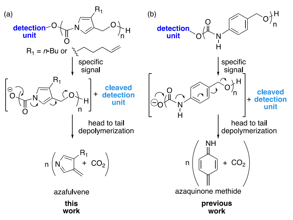 《JACS》： 像解拉鏈一樣輕松，聚合物30分鐘解聚為小分子