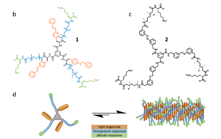 《JACS》單組分超分子聚合物：獨立響應(yīng)四種刺激
