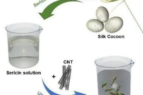 清華大學張瑩瑩團隊《先進材料》：絲膠蛋白助力碳納米管電子墨水的制備