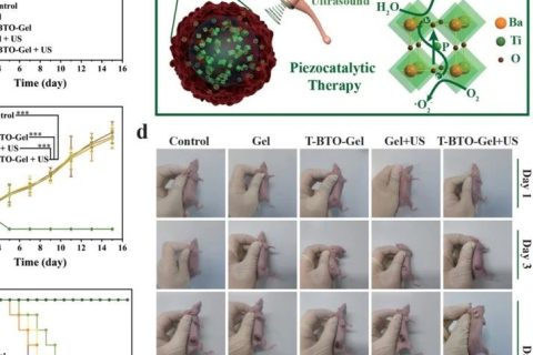 施劍林院士、陳雨研究員《先進材料》：超聲引發(fā)鈦酸鋇壓電性用于無創(chuàng)壓電催化腫瘤療法