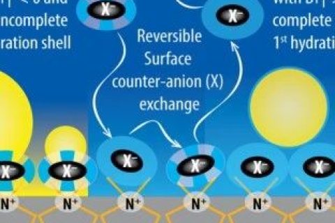 吉林大學汪大洋教授《德國應化》：陰離子水合作用新發(fā)現(xiàn)！可用于制備自清潔涂層