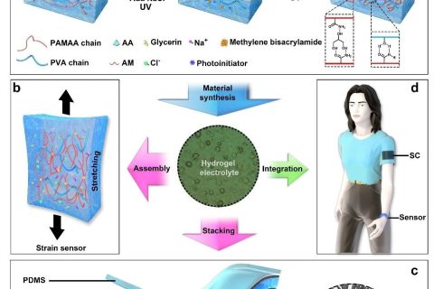 ?《Mater.Horiz.》：基于高性能離子油凝膠電解質(zhì)的集成可穿戴自供能柔性傳感系統(tǒng)
