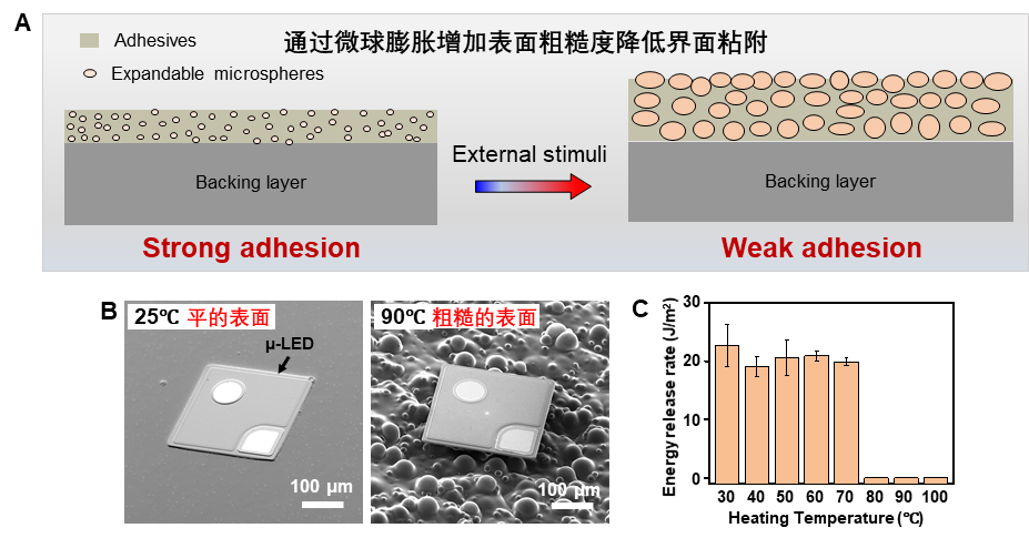 ?浙大學(xué)者研發(fā)超薄功能器件大面積、可編程轉(zhuǎn)印技術(shù)