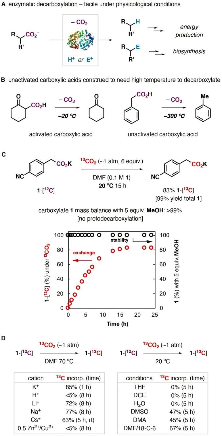 重磅！《Science》報(bào)道脫羧反應(yīng)領(lǐng)域里程碑突破！