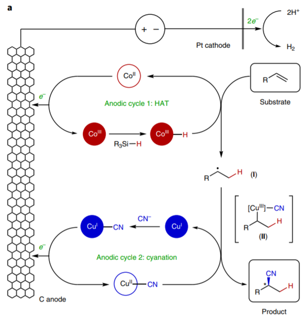 美國康奈爾大學林松團隊《自然·化學》:電驅動雙金屬催化共軛烯烴氫氰化反應
