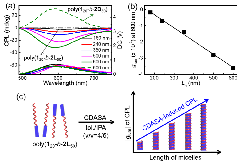 合工大吳宗銓教授《Angew》:結晶驅動嵌段共聚物不對稱自組裝以及聚集誘導白光和圓偏振光發(fā)光