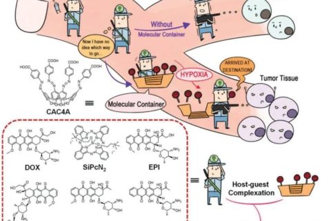 史林啟/劉陽/郭東升《先進材料》：以低氧敏感超分子作船，載藥劃向腫瘤