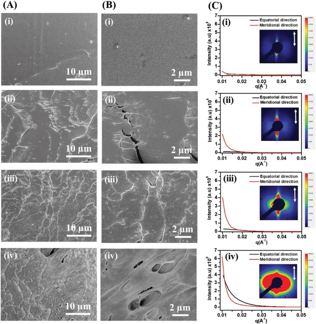 新加坡國(guó)立大學(xué)《AFM》：聚乳酸增韌有新招，可助力綠色柔性電子設(shè)備發(fā)展