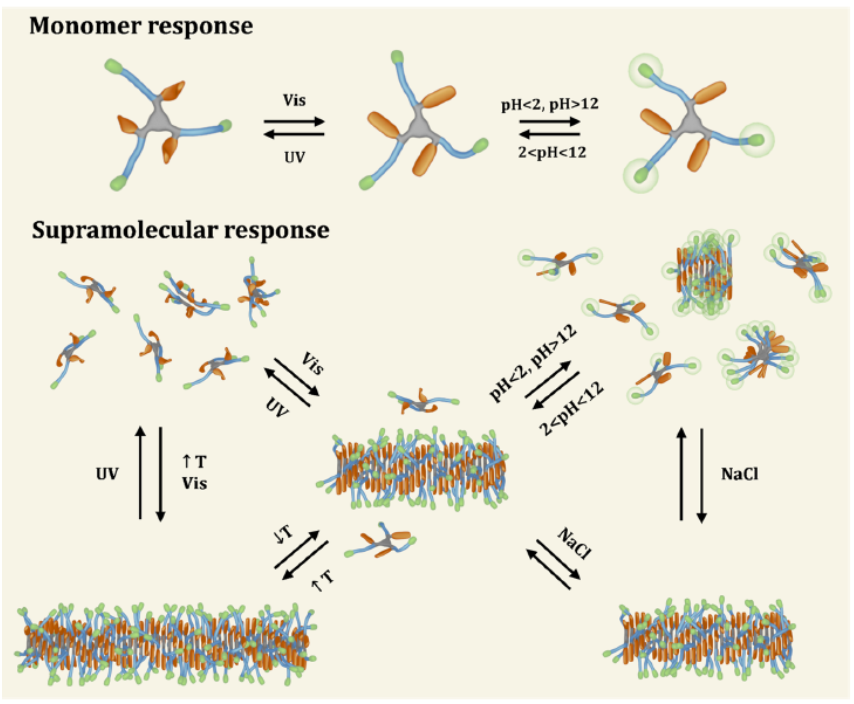 《JACS》單組分超分子聚合物：獨立響應(yīng)四種刺激