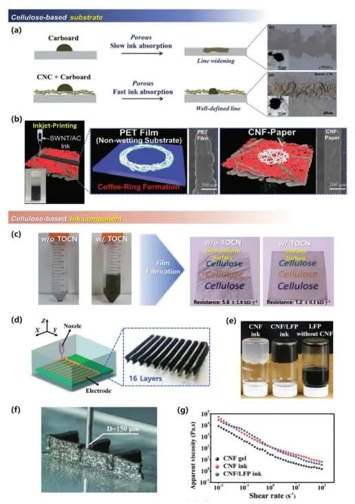 《先進(jìn)材料》綜述：為什么要用纖維素？纖維素基電化學(xué)儲能器件的優(yōu)勢何在？