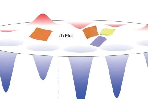 浙江大學(xué)許震、高超與清華大學(xué)徐志平合作《Matter》：?jiǎn)螌友趸┠Ｐ完U明二維大分子溶液構(gòu)象之謎