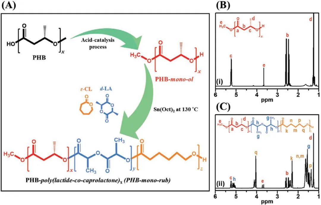 新加坡國(guó)立大學(xué)《AFM》：聚乳酸增韌有新招，可助力綠色柔性電子設(shè)備發(fā)展