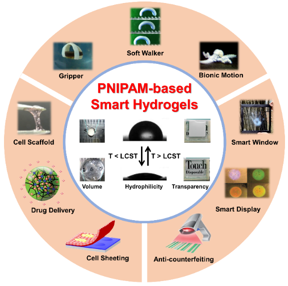 天津大學(xué)封偉教授團(tuán)隊在PMS上全面綜述PNIPAM基智能水凝膠