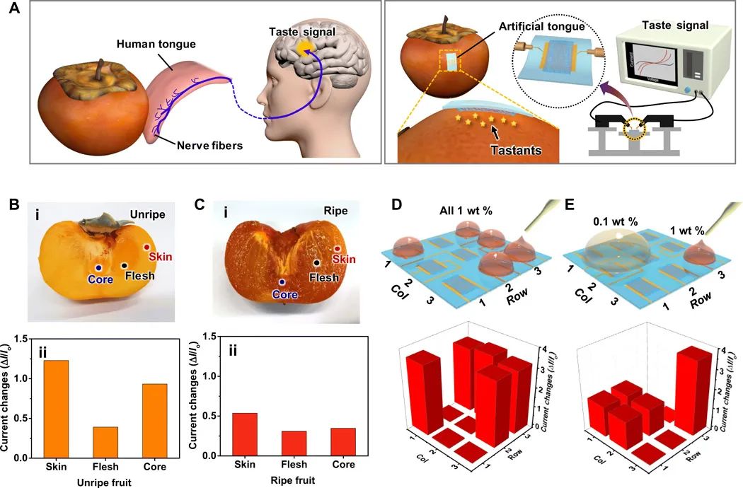 機(jī)器人也能“品味人生”？“人造舌頭”登上《Science》子刊，可“品嘗苦澀、分辨生熟”