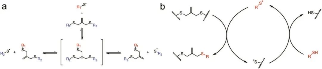 ?僅15秒！《AM》超快光降解生物水凝膠支架用于類器官傳代