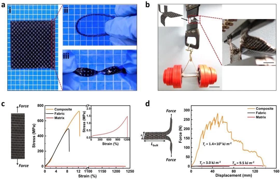 龔劍萍團(tuán)隊(duì)《AM》：超越金屬！史上最韌軟復(fù)合材料