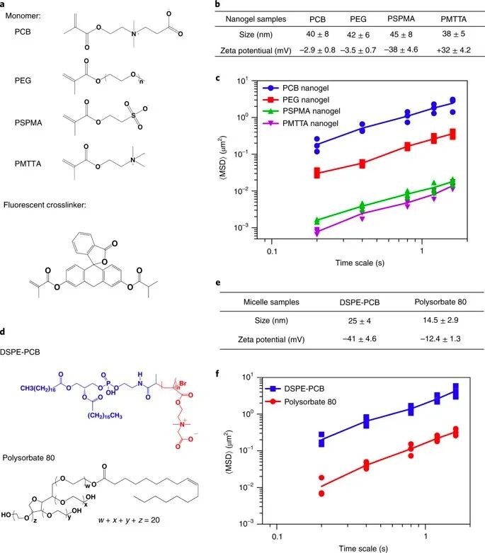 美國韋恩州立大學(xué)曹智強《Nat.Nanotech.》:高效口服胰島素問世，兩性膠束遞送胰島素?zé)o需打開緊密連接