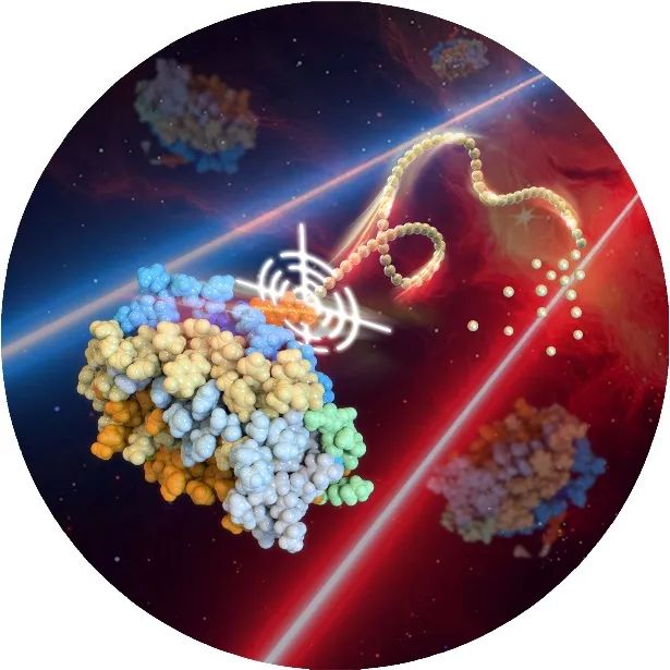 北京大學高衛(wèi)平《德國應用化學》綜述：提出“蛋白質-高分子精準偶聯(lián)”概念