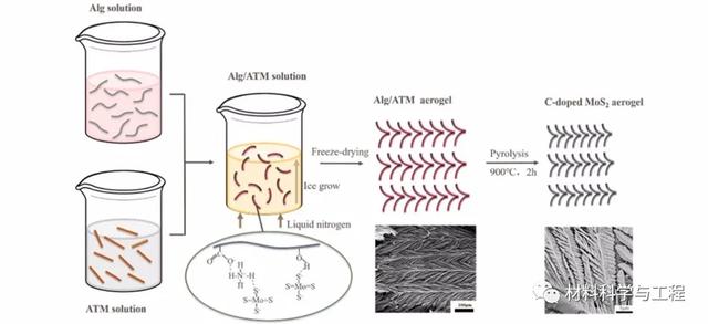 圖2. C摻雜的MoS2氣凝膠的香蕉葉狀形態(tài)形成過程的示意圖
