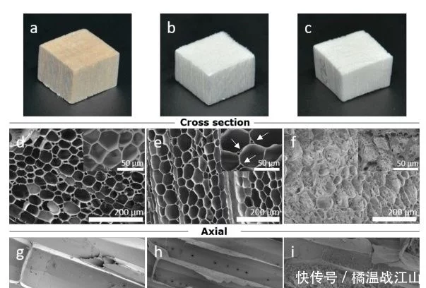 高度多孔、強韌的各向異性纖維素氣凝膠-1