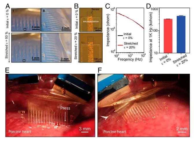 斯坦福大學(xué)鮑哲南團(tuán)隊(duì)：柔性電子新突破！細(xì)胞級分辨率心電監(jiān)測，守護(hù)人類健康