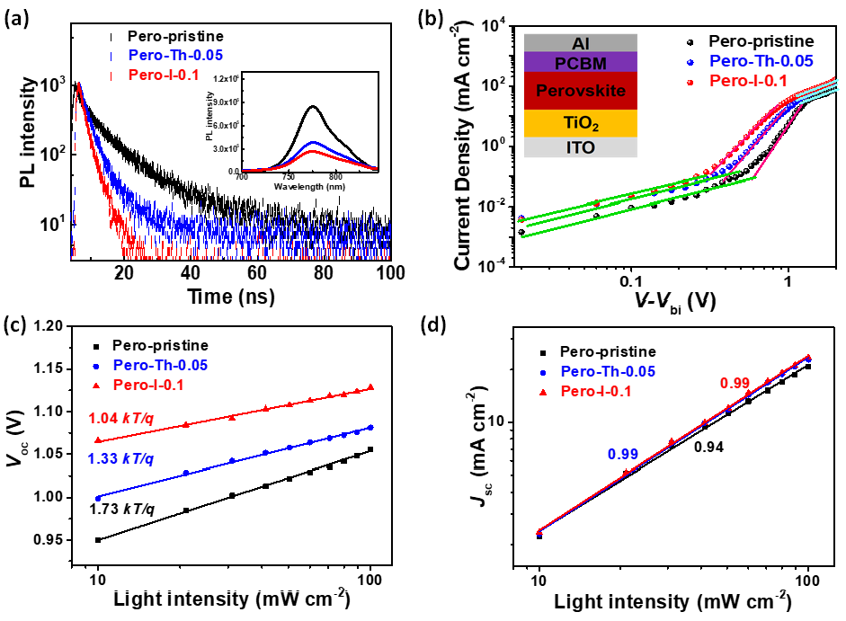 蘇州大學(xué)李耀文教授《AFM》:電子態(tài)調(diào)控新方法助力高效率鈣鈦礦太陽能電池