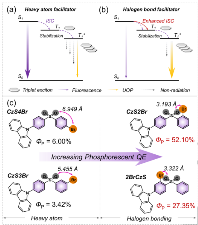 中山大學(xué)《Angew》：量子效率52%！超長(zhǎng)有機(jī)磷光材料量子效率再獲突破