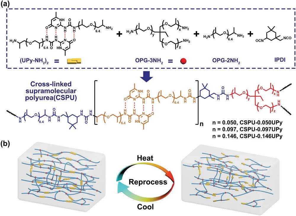 張希院士團(tuán)隊(duì)《AM》：高韌性、可多次回收的超分子聚氨酯