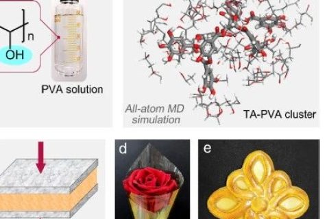 超越天然蛛絲！超高強(qiáng)度、極高韌性的超分子聚合物材料