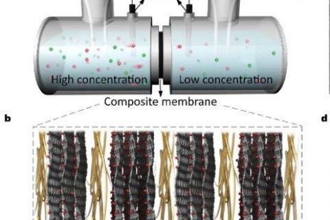 中科院理化所聞利平《ACS Nano》：仿生蠶絲交聯(lián)復(fù)合膜實現(xiàn)高效滲透能收集