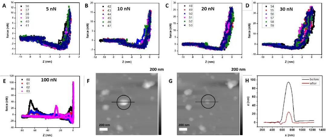 匹茲堡大學(xué)劉海濤/哈佛大學(xué)尹鵬《ACS Nano》：低密度，高強(qiáng)度的3D獨(dú)立DNA納米結(jié)構(gòu)雜化材料