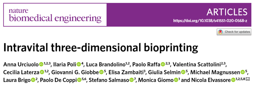 ?《Nat.Biomed.Eng.》:活體3D生物打印光敏聚合物水凝膠！有望代替常規(guī)生物打印