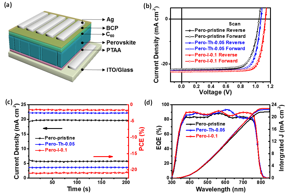 蘇州大學(xué)李耀文教授《AFM》:電子態(tài)調(diào)控新方法助力高效率鈣鈦礦太陽能電池