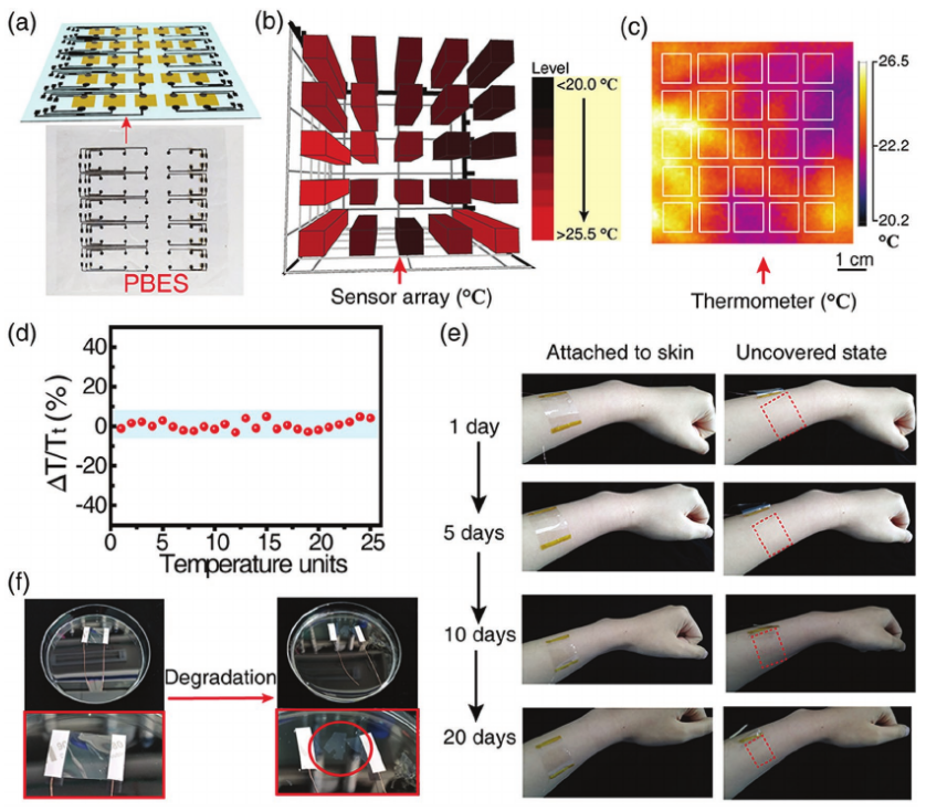 廈門大學劉向陽團隊《AFM》：納米黃金粒子“出手” ！蠶絲變身超快蛋白質基憶阻器