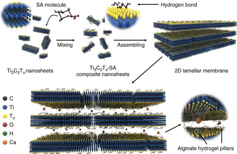 西安建筑科技大學(xué)王磊教授《自然·通訊》：?Ti3C2Tx新用途！實現(xiàn)100％硫酸鈉截留率和高水滲透性