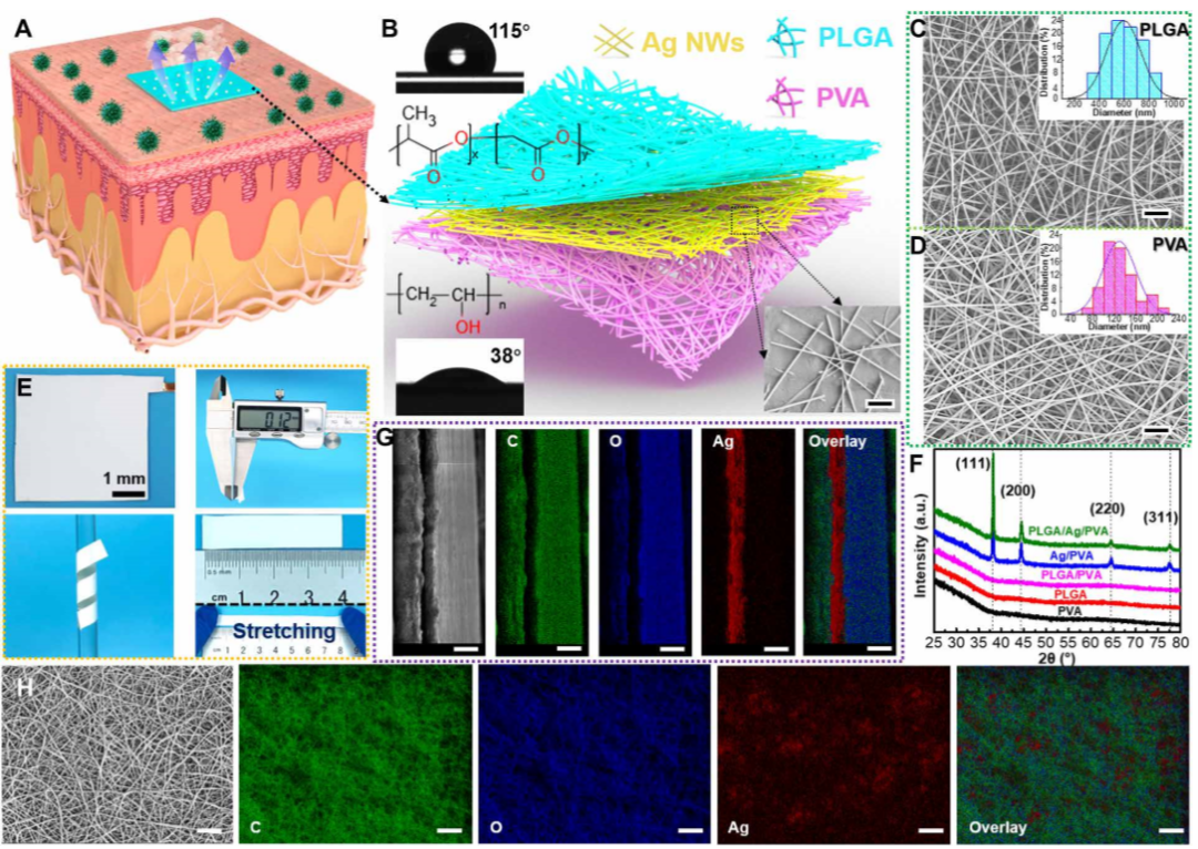 王中林院士團(tuán)隊(duì)《Science》子刊：透氣、抗菌、可降解電子皮膚！