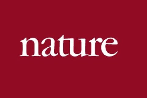 《Nature》子刊：注射這種光敏性聚合物納米粒子，成功恢復(fù)盲鼠視力