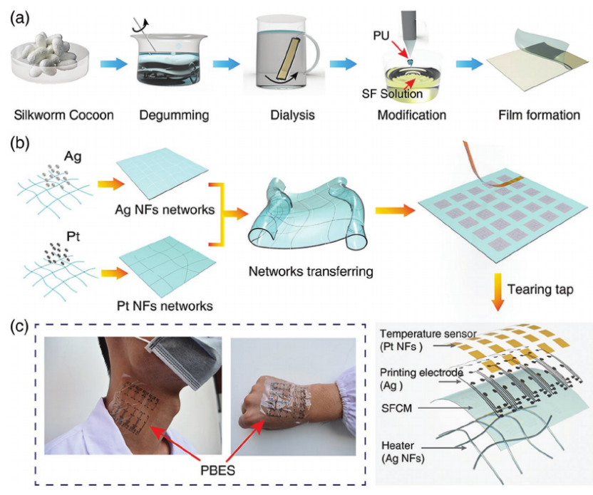 廈門大學劉向陽團隊《AFM》：納米黃金粒子“出手” ！蠶絲變身超快蛋白質基憶阻器