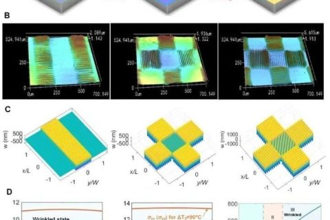 揭示可編程二維表面褶皺圖案調控力學機制