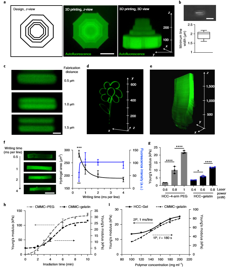 ?《Nat.Biomed.Eng.》:活體3D生物打印光敏聚合物水凝膠！有望代替常規(guī)生物打印