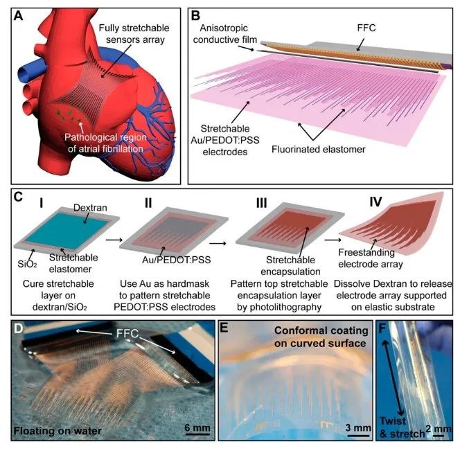 斯坦福大學(xué)鮑哲南團(tuán)隊(duì)：柔性電子新突破！細(xì)胞級分辨率心電監(jiān)測，守護(hù)人類健康