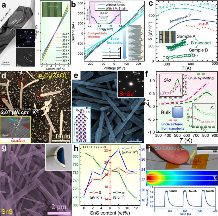 南昆士蘭大學陳志剛/昆士蘭大學鄒進Chemical Reviews：先進熱電材料與器件設(shè)計的研究進展