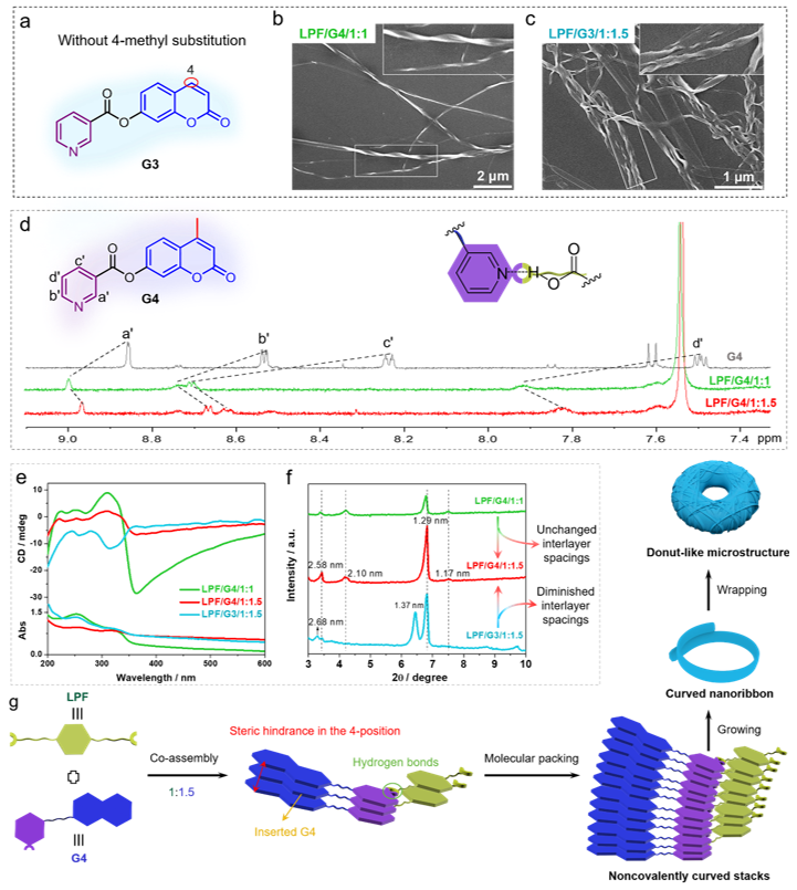 上海交通大學(xué)馮傳良/邱惠斌《AFM》：多級次手性超分子自組裝