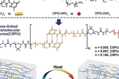 高韌性、可多次回收的超分子聚氨酯