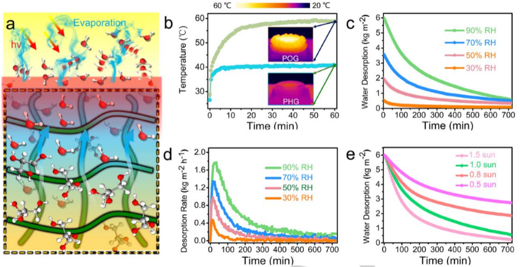寧波材料所陳濤團(tuán)隊(duì)《Angew》：受鐵蘭啟發(fā)的仿生有機(jī)凝膠進(jìn)行大氣水分收集！