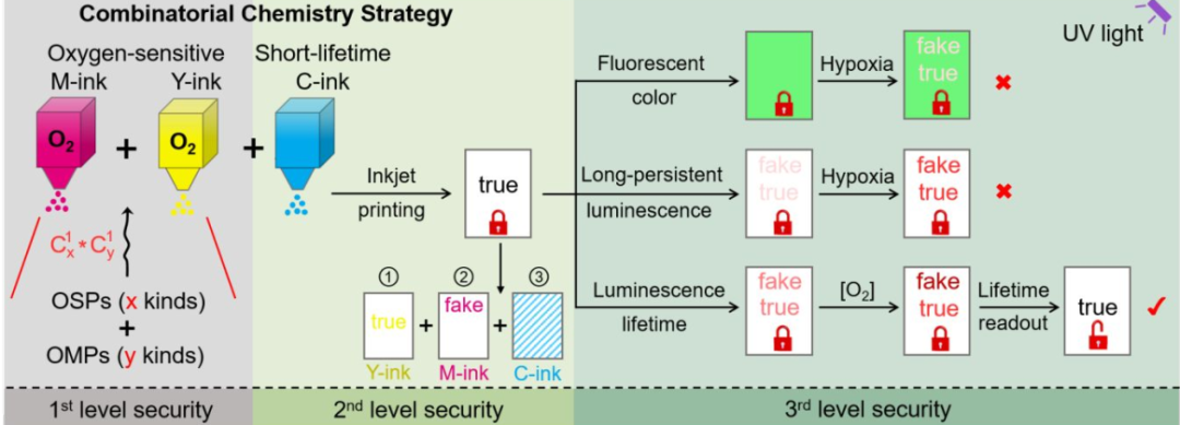 復(fù)旦大學(xué)王旭東《JACS》：三級(jí)加密！新一代發(fā)光防偽技術(shù)！