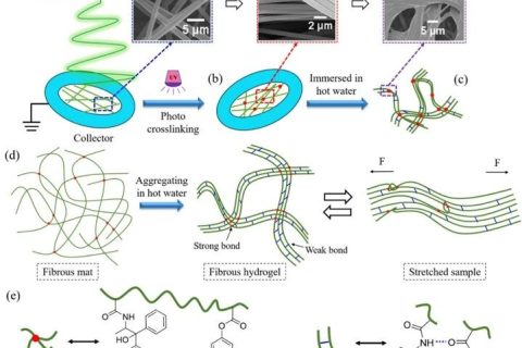 微納米纖維“邂逅”溫敏水凝膠，實現(xiàn)水下超快自恢復性能